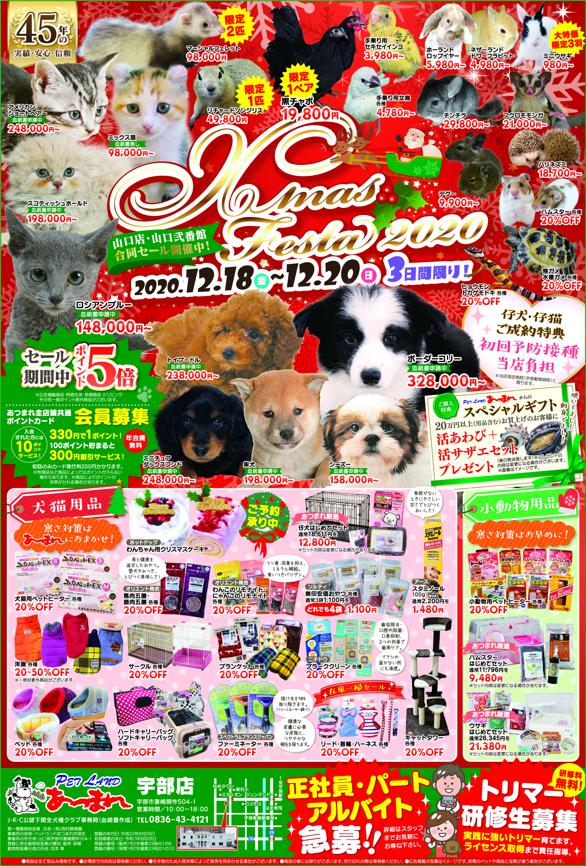 山口県下関市 宇部市 山口市 福岡県北九州市に展開するペットショップ ペットランド あつまれ 山口県下関市 宇部市 山口市 福岡県北九州市に展開するペットショップ ペットランド あつまれ