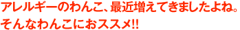 だんだん寒くなってきました