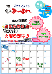 チラシ