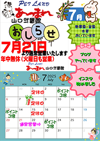 チラシ