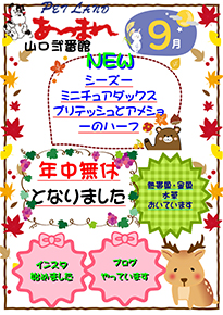 チラシ