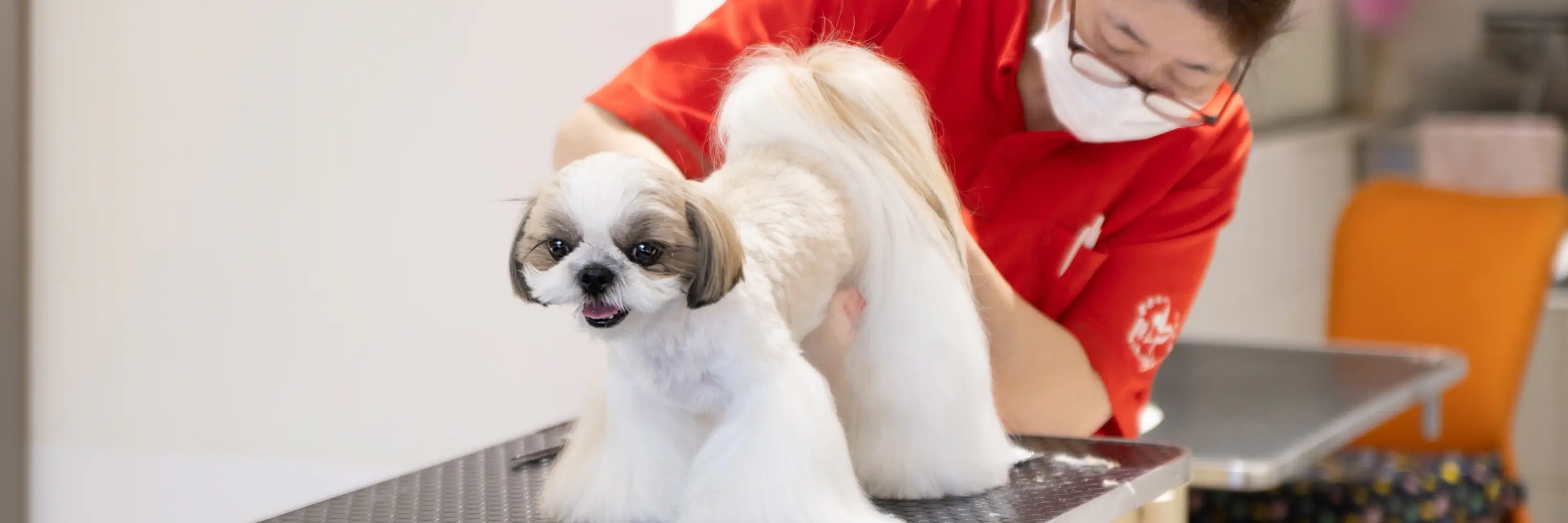 トリミング風景