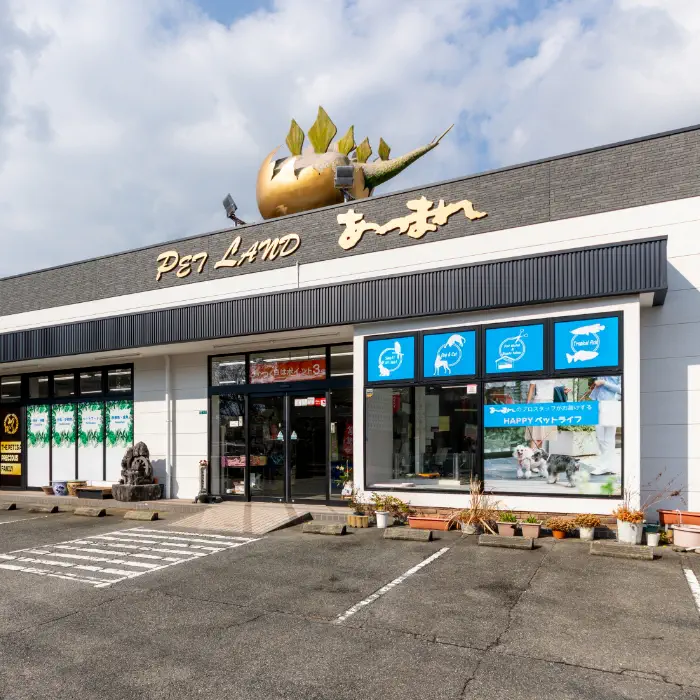 山口店